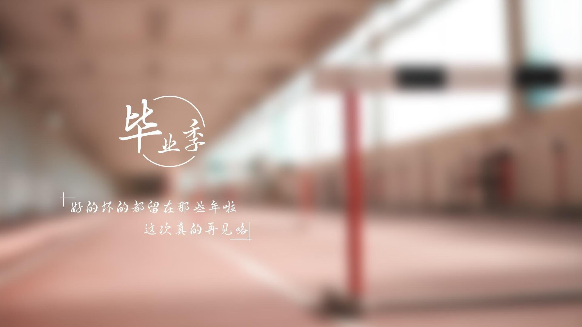 随机本周最佳瞬间：球场内外的精彩集锦，球场外 短片
