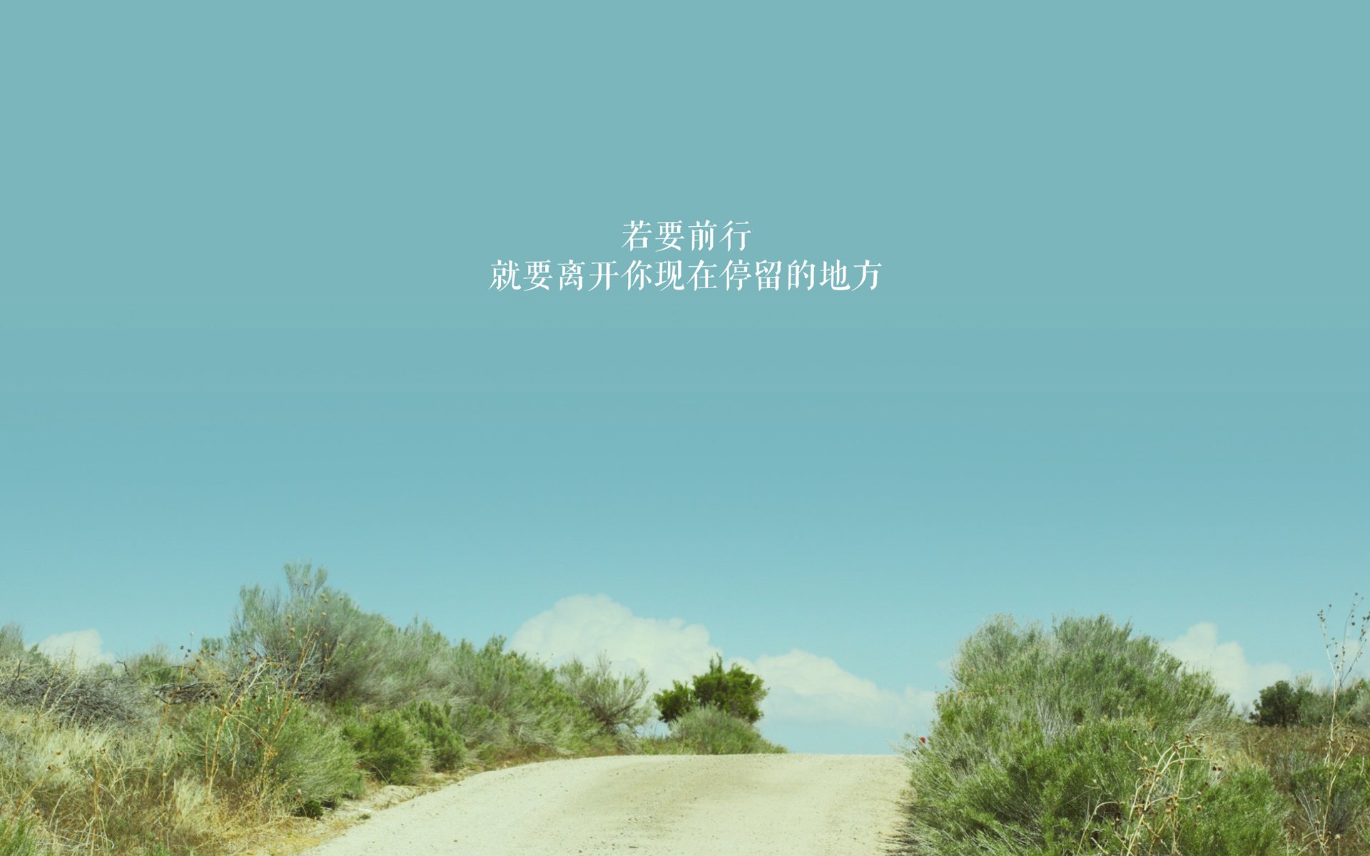 随机胜利背后：车手、团队的坚持与合作，lol胜利车队