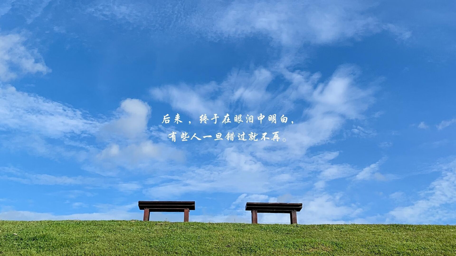 随机青春逐梦“篮球之星”全国少年选拔赛激烈进行，全国少年篮球比赛冠军