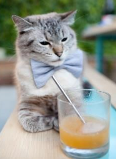 中超球队年度数据分析可视化仪表板展示，中超联赛队标