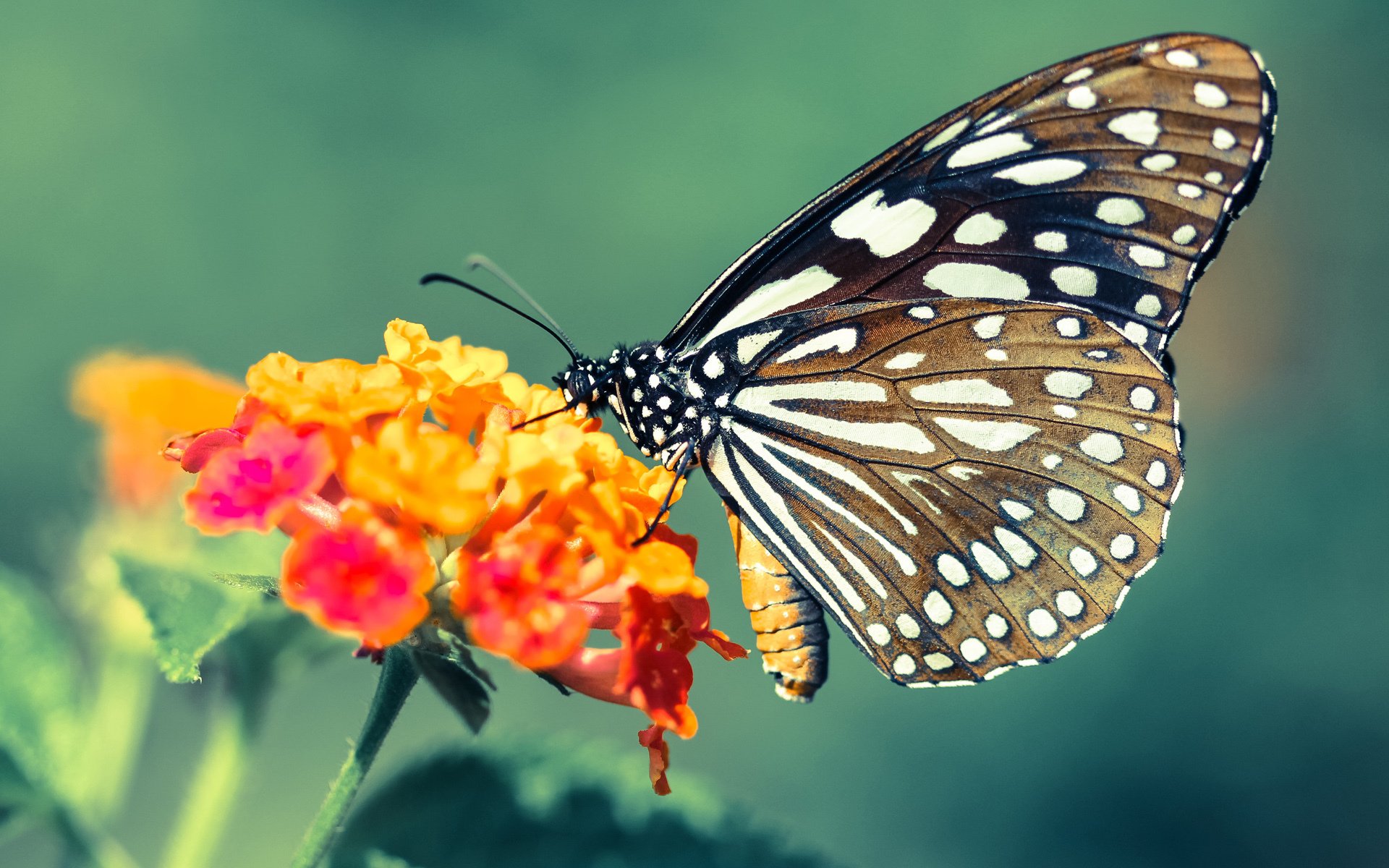 高校体育赛事观众体验提升策略及实践研究,观看体育赛事应注意哪些礼仪常识