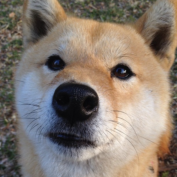 乒乓球青训系统实现地区资源互通,乒乓球青训班