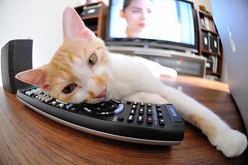 乒乓球新星首秀表现惊艳，乒坛新秀