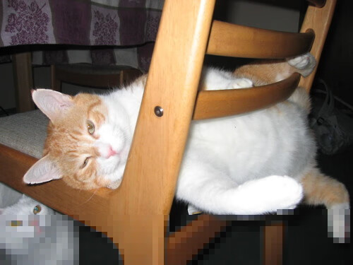 九游（jiuyou.com）游戏-体育新闻中心联合高校研究体育内容用户行为，学校体育研究热点