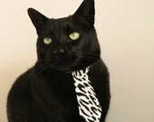 体育新闻中心联合高校研究体育内容用户行为,学校体育研究热点