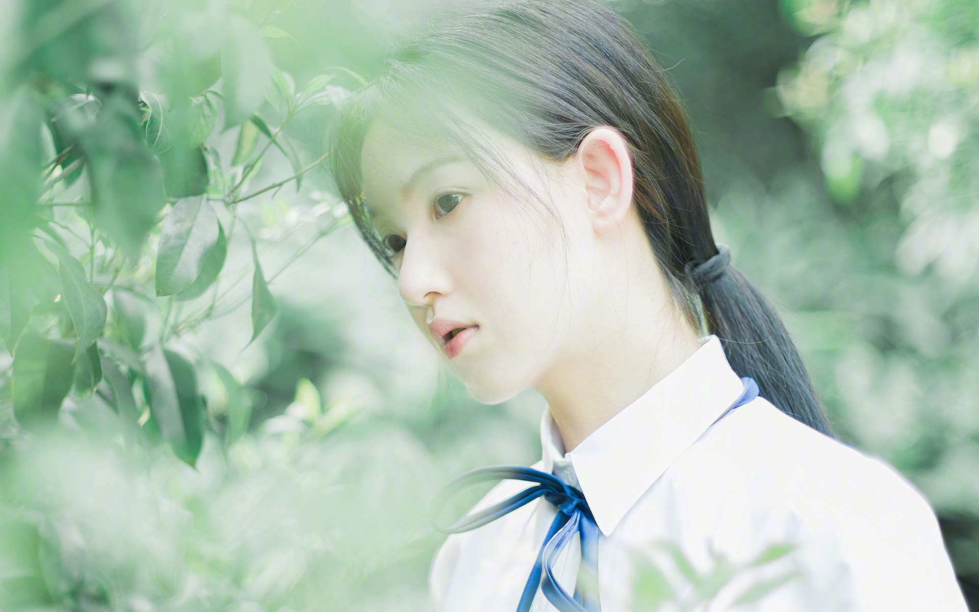 全国中学生篮球联赛区域冠军全部出炉,全国中学生蓝球联赛