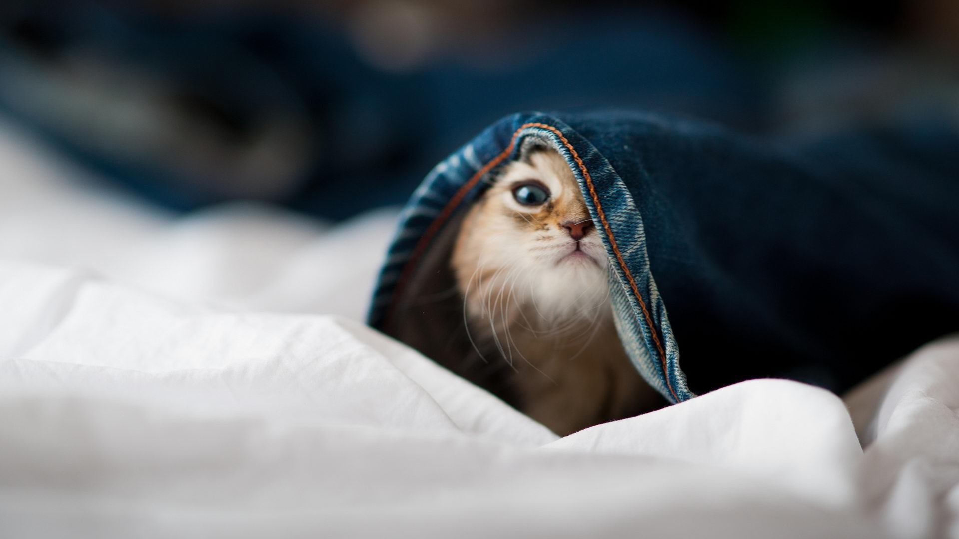 九游jiuyou-出发反应时间数据首次发布，出发和返回时间怎么表达