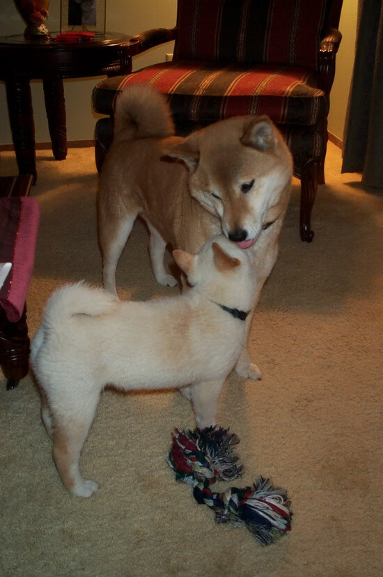 出发时间与奖牌概率成正相关，出发时间和到达时间