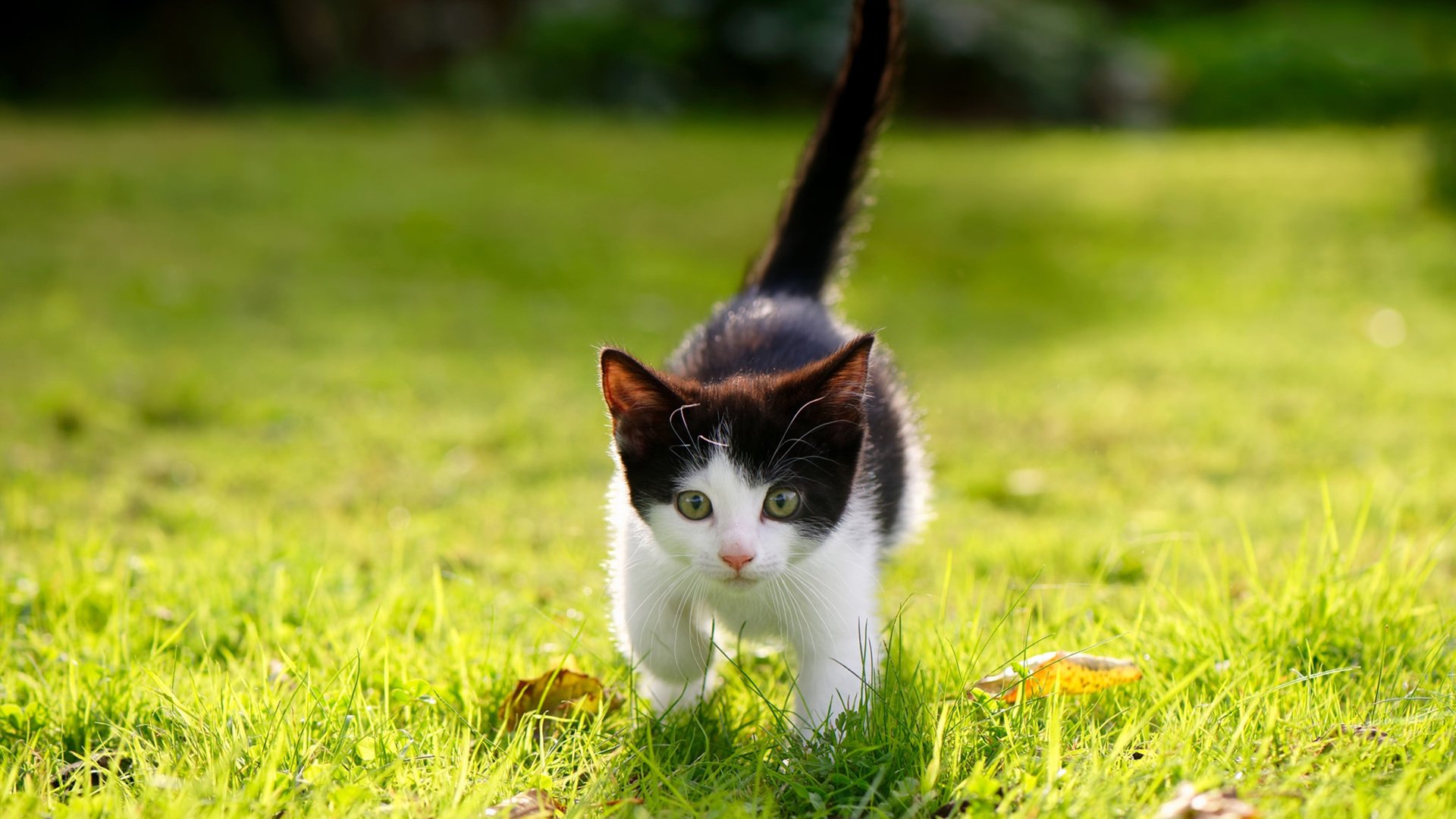 九游9游-奥运村人流引导系统接入AI算法实现预判