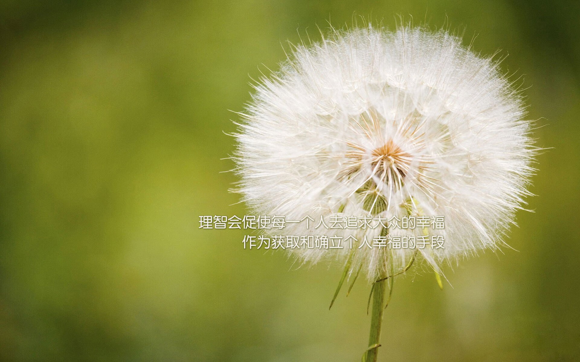 九游官网下载电脑版-尼斯防守站位统一化解多次险情，尼克斯防守