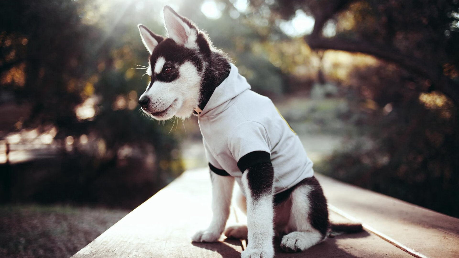 攀岩运动普及率持续增长,攀岩运动的现状