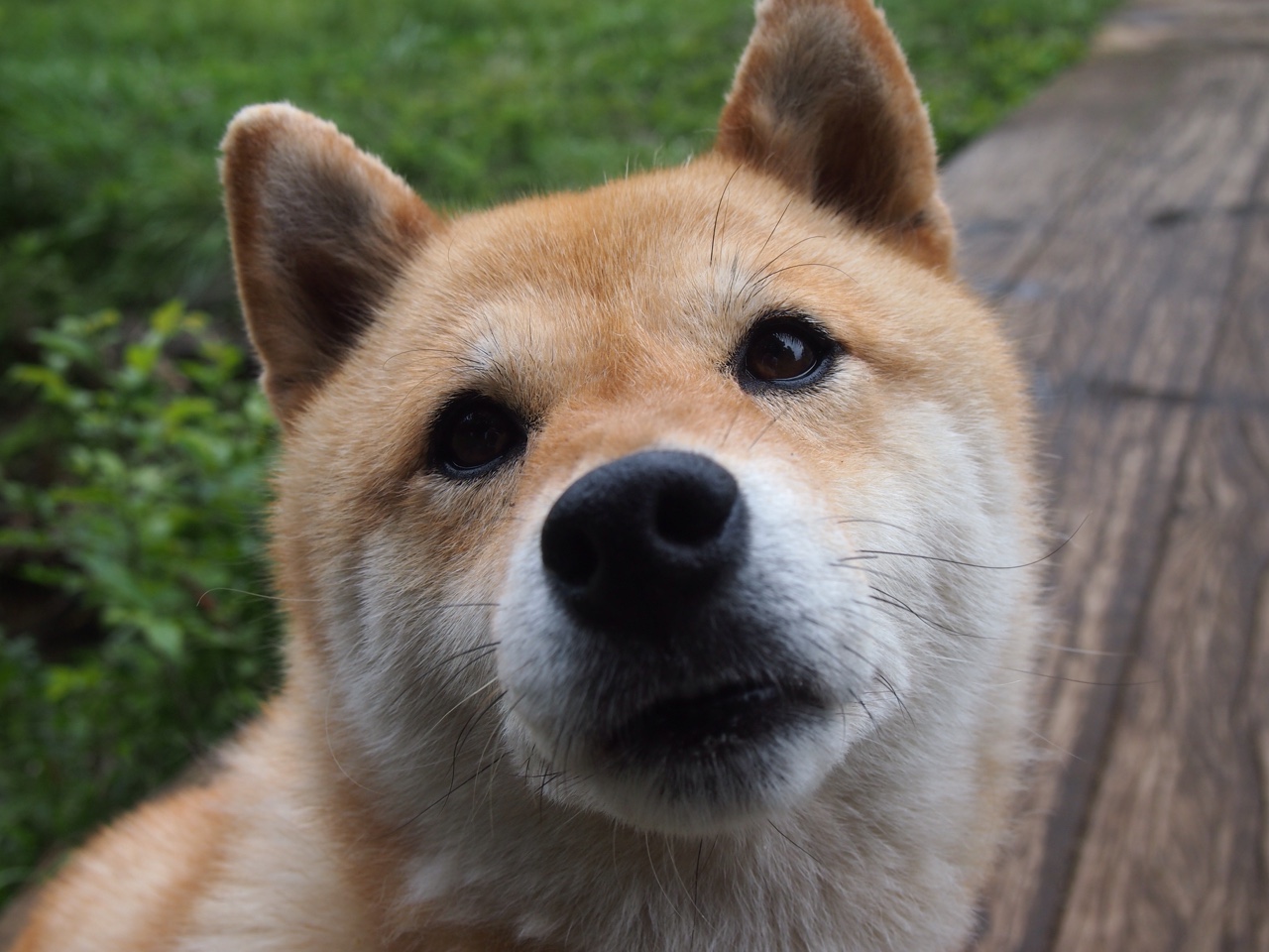 替补奇兵角色是否仍是传统战术的救命稻草，替补兵还有机会吗