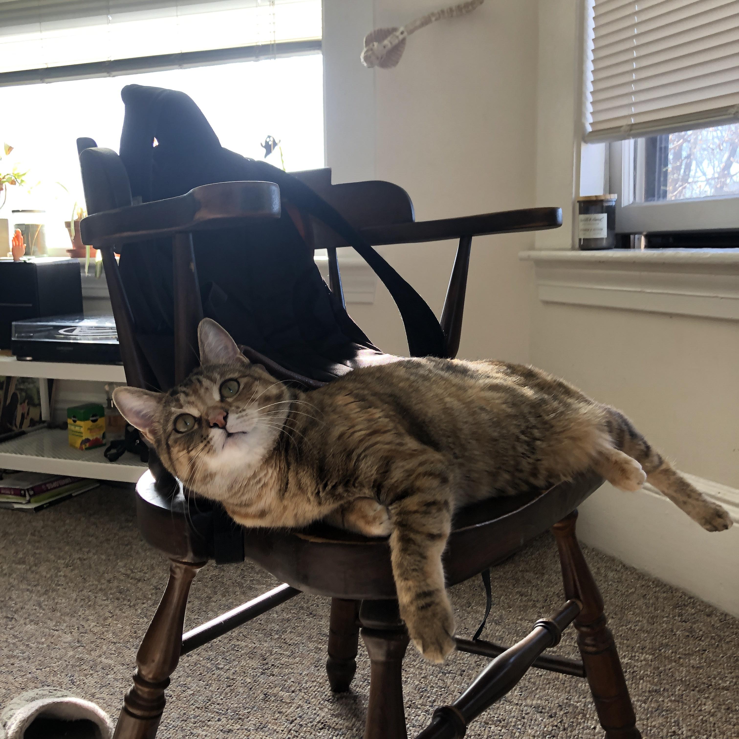 希腊男篮在欧洲锦标赛中再夺冠军,彰显传统强队风采,希腊男蓝