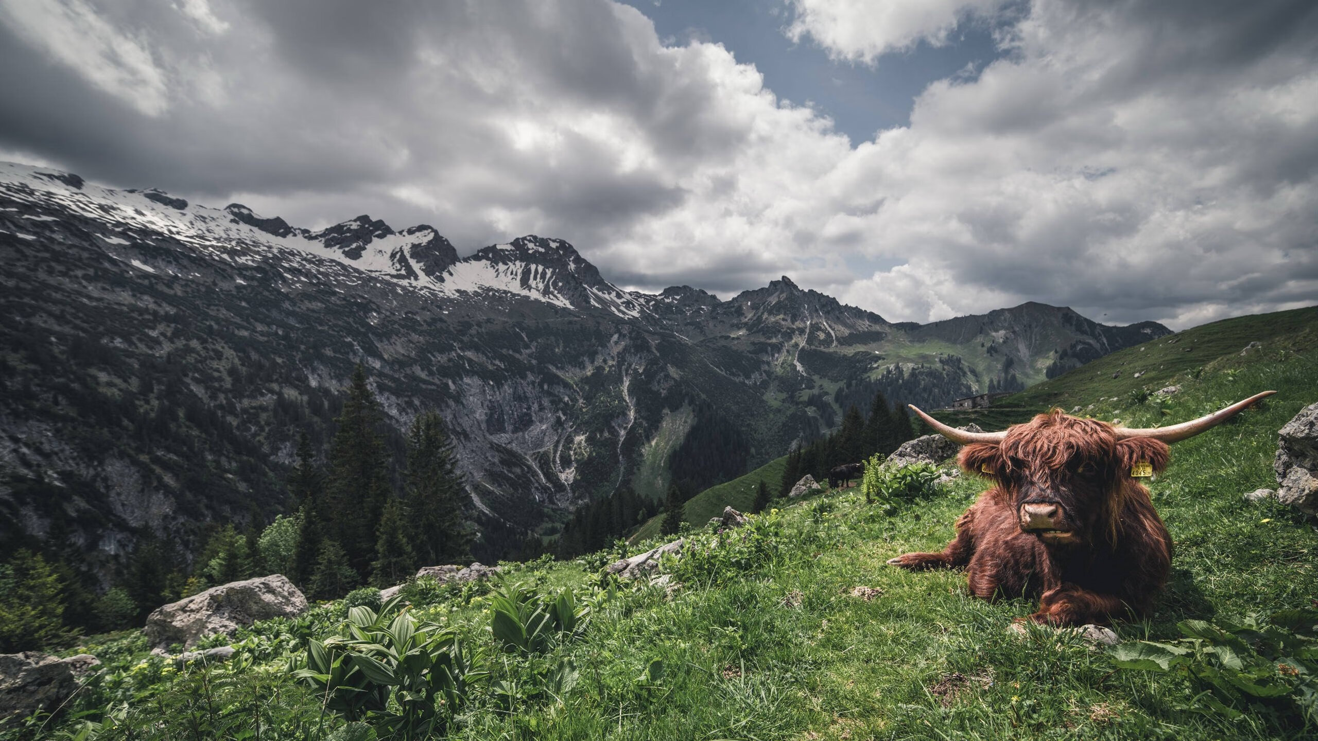 欧洲杯荣耀时刻：看点满满，感动无限，欧洲杯冠军大热