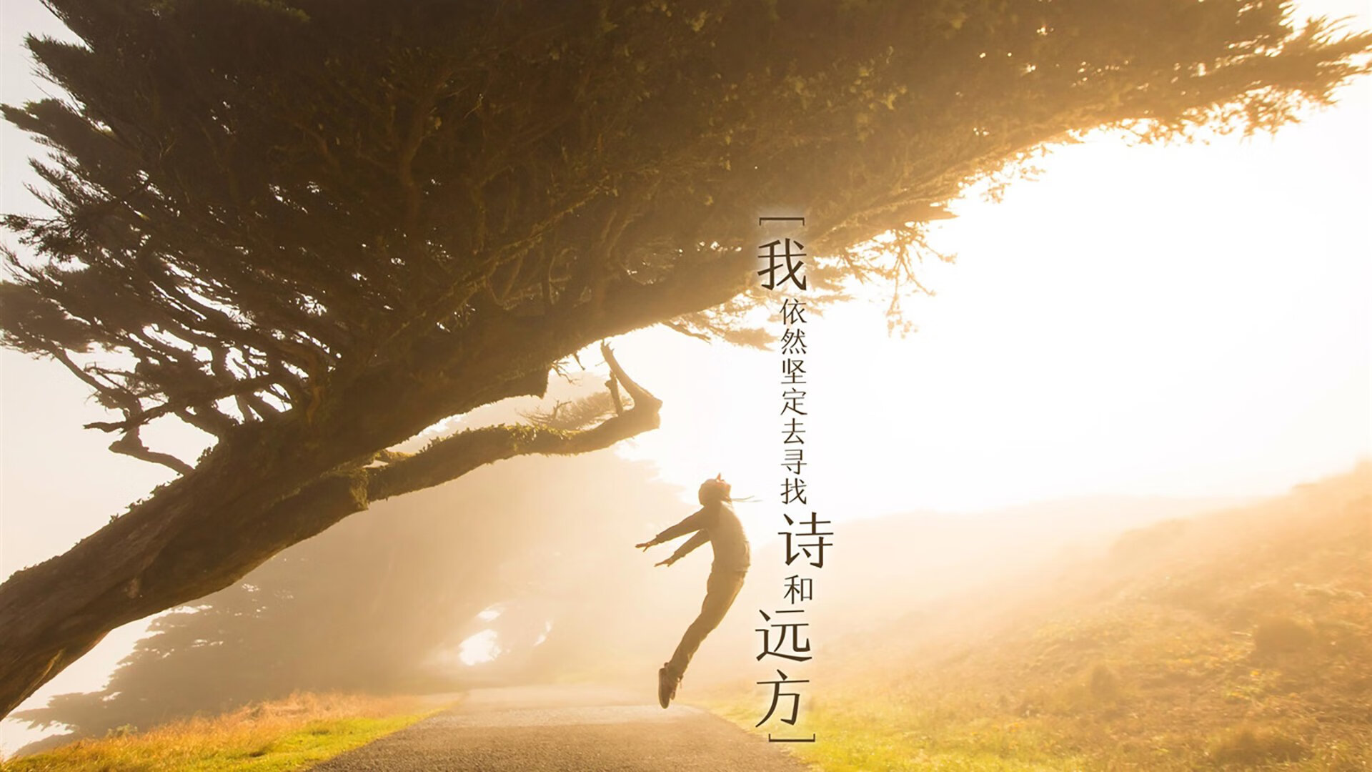 詹姆斯突破得分创下个人新高,詹姆斯突破动图