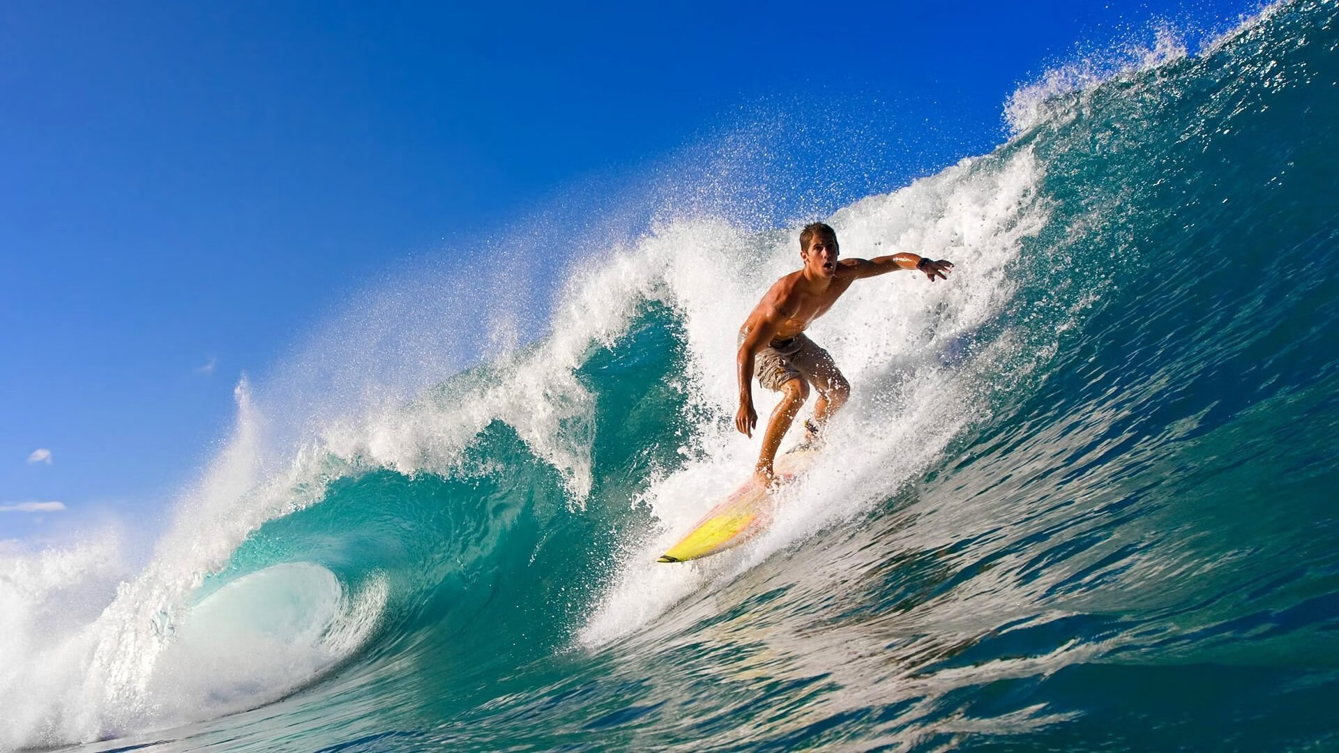 “全球产业链数字化重构:科技赋能棒球产业的新生态”,棒球生产厂家