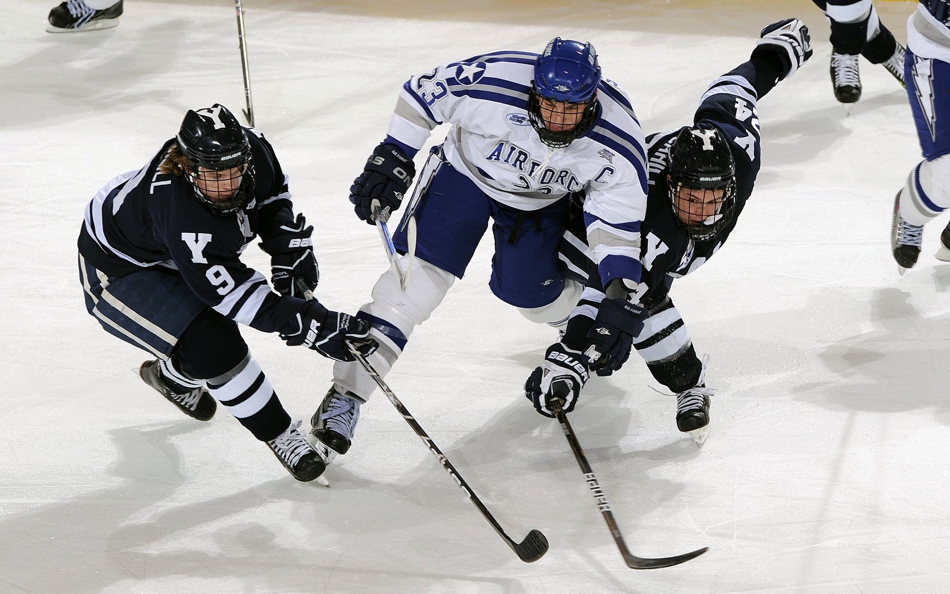 大型海上风筝比赛，天空中的运动盛典，海边风筝节